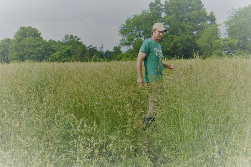 Farmer Fred walking in tall grass to check out forage quality