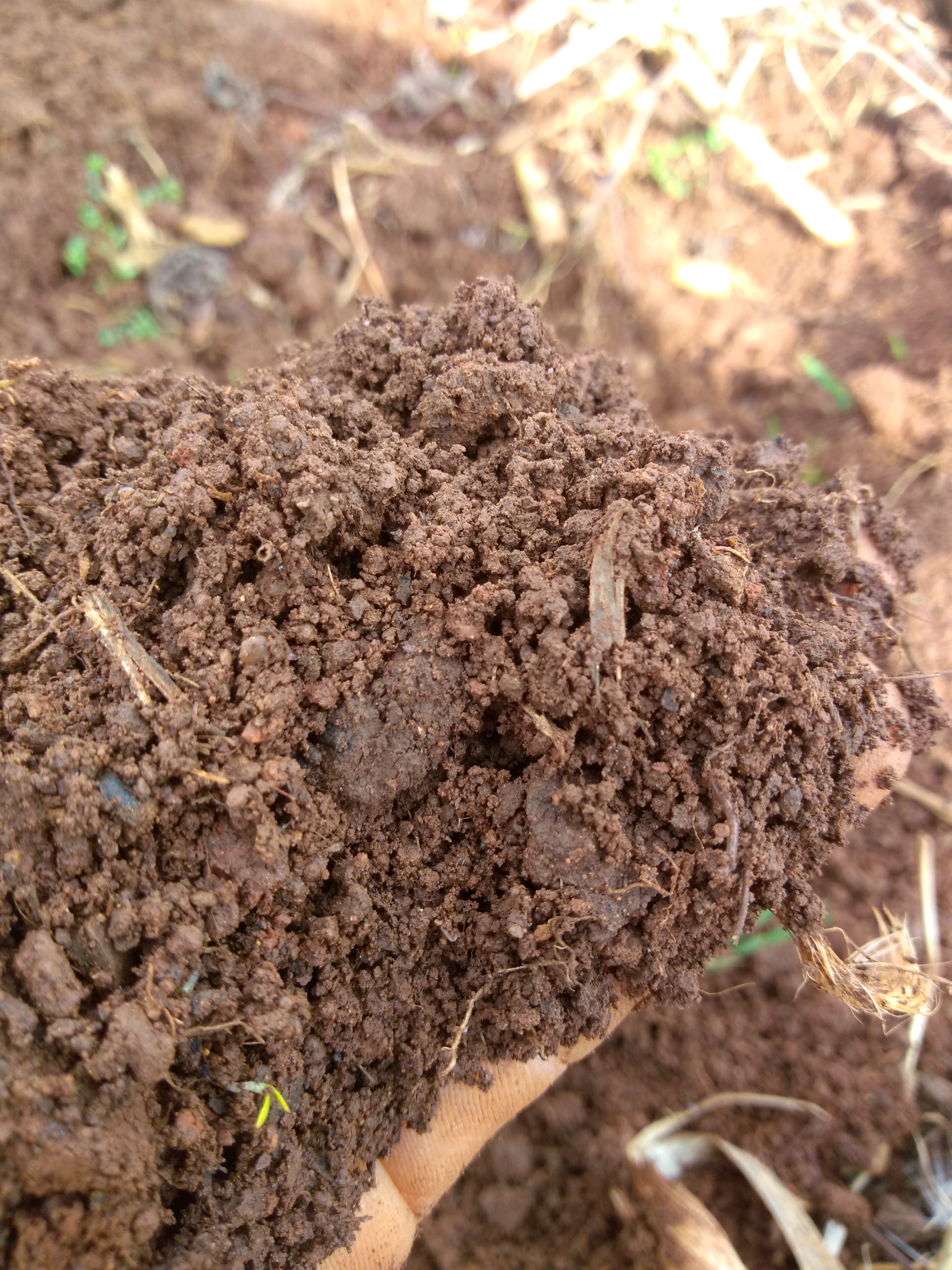 Red Clay Soil