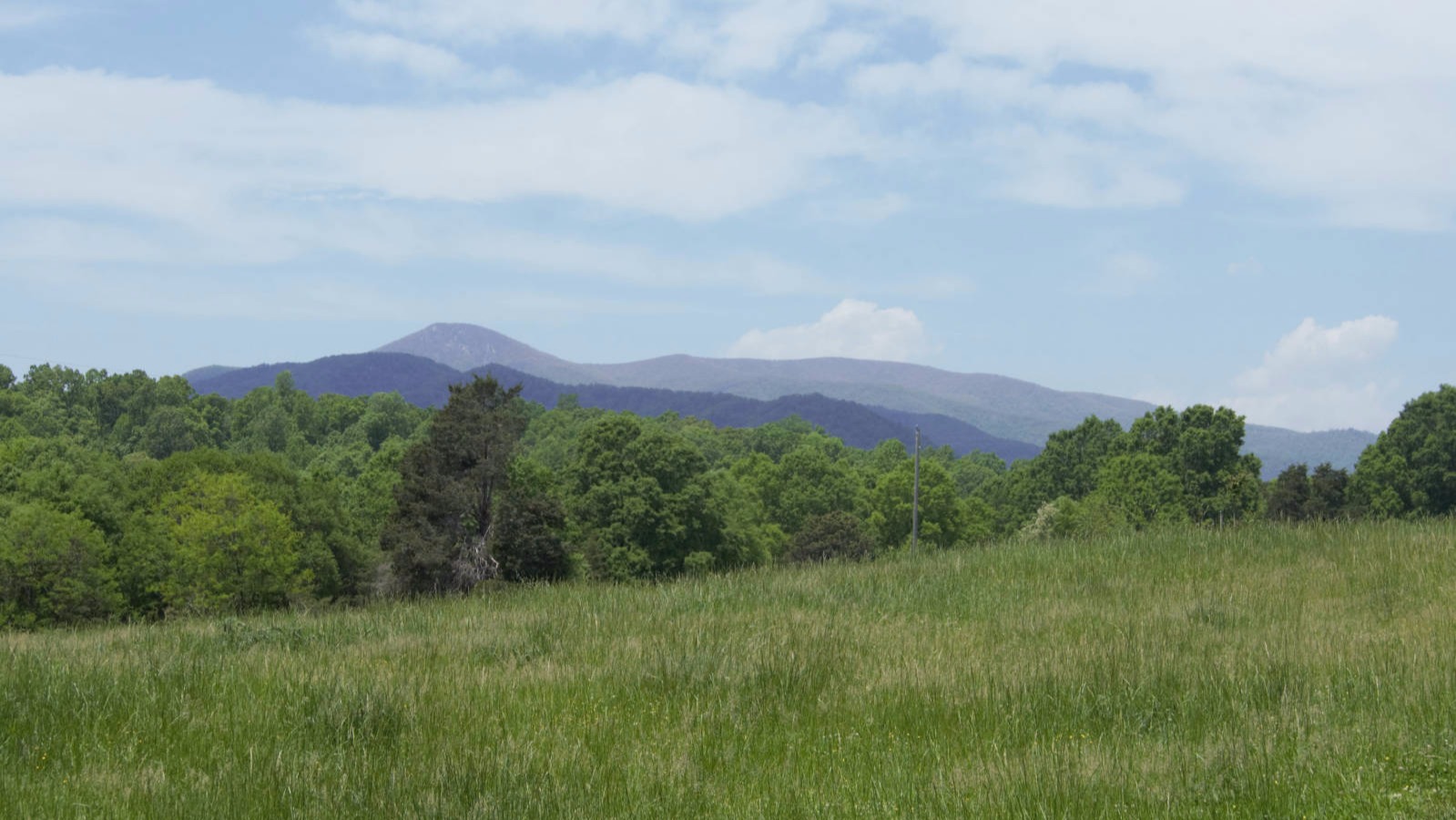 Brooklyn Hills Ranch